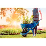 Carriola 50l Pneu/cmr77704/434-77704/432