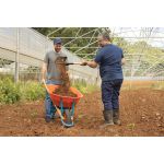 Carriola Tramontina Cacamba Plast 55l 77717/421