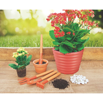Conjunto para Vasos 4 Pecas