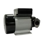 Bomba de Palhetas 230V para Diesel
