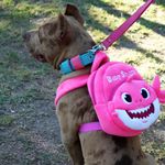 Mochila para cachorro Baby Shark Rosa