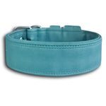 COLEIRA LISA 5cm azul tiffany