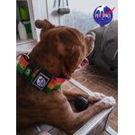Bola maciça G 80mm de diâmetro 