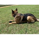 Bola maciça G 80mm de diâmetro 