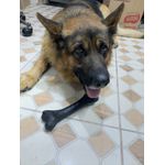 Ossão 200mm Borracha maciça