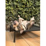 Cama para cachorro elevada tamanho médio 70x65x18cm 