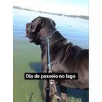 Colar Enforcador Profissional Para Cães Com Regulador corda 6mm