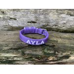 COLEIRA BABY PERSONALIZADA 3cm lilás com nome em branco