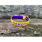 COLEIRA BABY PERSONALIZADA 3cm amarela/roxo com nome em roxo