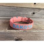 COLEIRA BABY PERSONALIZADA 3cm salmão com nome em azul bebê