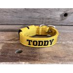 COLEIRA BABY PERSONALIZADA 3cm amarela com nome em preto