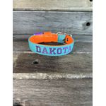 COLEIRA BABY PERSONALIZADA 3cm tiffany/laranja com nome em roxo