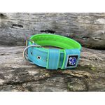 COLEIRA LISA 5cm azul tiffany/ verde fluorescente 