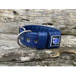 COLEIRA LISA 5cm glitter azul