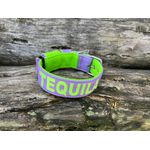 COLEIRA PERSONALIZADA 5cm lilás/verde fluorescente com nome em verde fluorescente