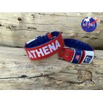 COLEIRA PERSONALIZADA 5cm vermelha/azul com nome em branco