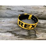 COLEIRA PERSONALIZADA 5cm amarelo/preto com nome em preto