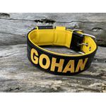 COLEIRA PERSONALIZADA 5cm preta/amarelo com nome em amarelo petróleo