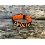 COLEIRA PERSONALIZADA 5cm preta/laranja com nome em laranja