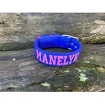 COLEIRA PERSONALIZADA 5cm glitter azul com nome em rosa