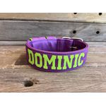 COLEIRA PERSONALIZADA 5cm roxa com nome em verde fluorescente