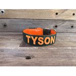 COLEIRA PERSONALIZADA 5cm verde musgo/ laranja com nome em laranja