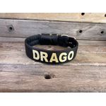 COLEIRA PERSONALIZADA 5cm preta com nome em dourado