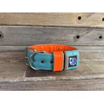 COLEIRA PERSONALIZADA 5cm tiffany/laranja com nome em laranja fluorescente