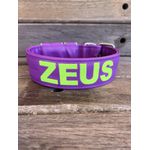 COLEIRA PERSONALIZADA 5cm roxa com nome em verde fluorescente