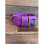 COLEIRA PERSONALIZADA 5cm roxa com nome em verde fluorescente
