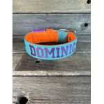 COLEIRA PERSONALIZADA 5cm tiffany/laranja com nome em roxo