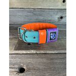 COLEIRA PERSONALIZADA 5cm tiffany/laranja com nome em roxo