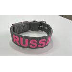 COLEIRA PERSONALIZADA 5cm cinza chumbo com nome em rosa