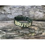 COLEIRA PERSONALIZADA 5cm militar com nome em dourado