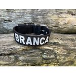 COLEIRA PERSONALIZADA 5cm preta com nome em prata