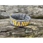 COLEIRA PERSONALIZADA 5cm cinza riscado com nome em amarelo petróleo