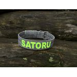 COLEIRA PERSONALIZADA 5cm cinza riscado com nome em verde fluorescente