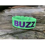 COLEIRA PERSONALIZADA 5cm verde fluorescente com nome em roxo