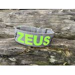 COLEIRA PERSONALIZADA 5cm cinza riscado com nome em verde fluorescente 2 raios fixos