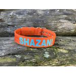 COLEIRA PERSONALIZADA 5cm laranja com nome em azul tiffany 