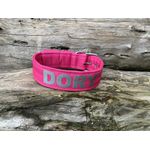 COLEIRA PERSONALIZADA 5cm rosa com nome em prata 