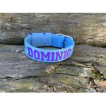 COLEIRA PERSONALIZADA 5cm azul bebê com nome em roxo