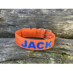 COLEIRA PERSONALIZADA 5cm laranja com nome em azul bic