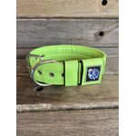 COLEIRA PERSONALIZADA 5cm verde lima fluorescente com nome em preto