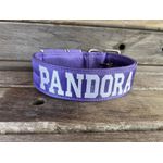 COLEIRA PERSONALIZADA 5cm lilás com nome em branco