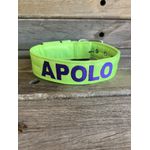 COLEIRA PERSONALIZADA 5cm amarelo flúor com nome em roxo
