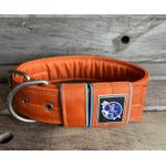 COLEIRA PERSONALIZADA 5cm laranja com nome em azul tiffany 