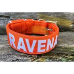 COLEIRA PERSONALIZADA 5cm laranja com nome em branco