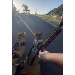 GUIA DE PASSEIO PERSONALIZADA duas cores 