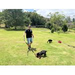 Kit Caça Couro com Haste Flirt Pole